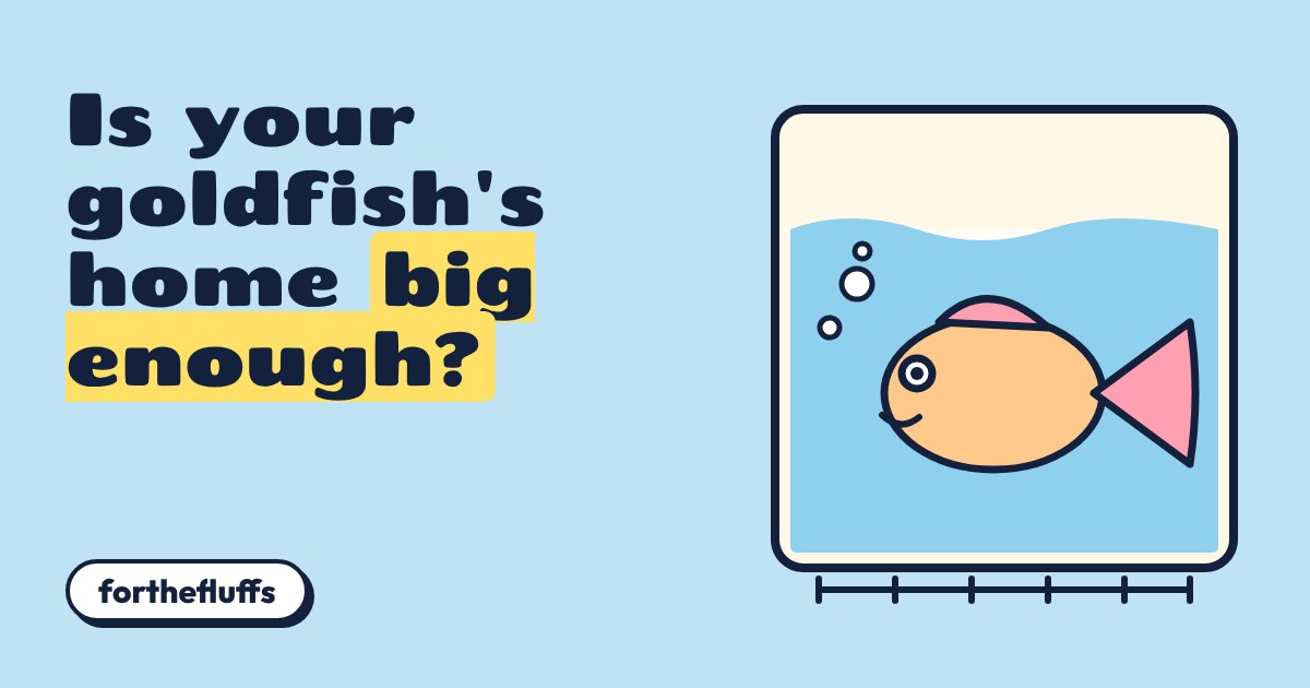 A cartoon orange goldfish swimming in a tank with bubbles