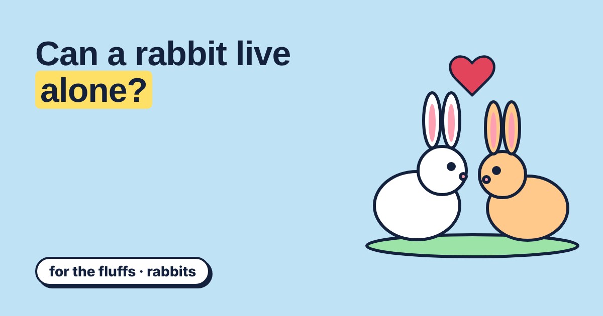 Two cartoon rabbits sitting nose to nose under a red heart