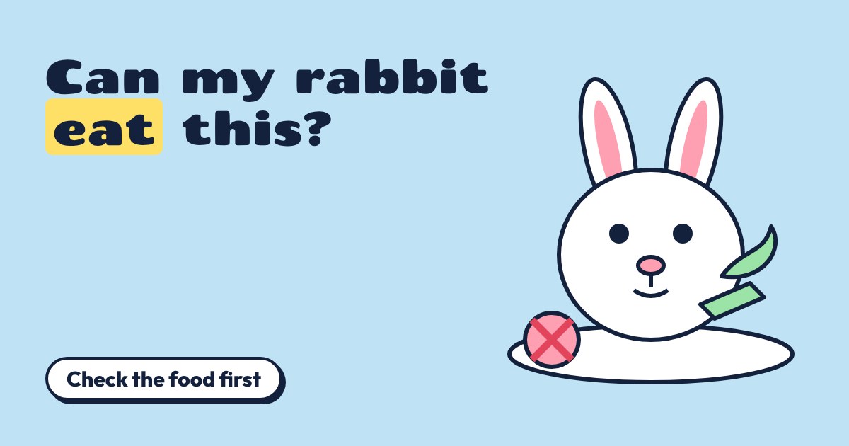 Cartoon rabbit with a leaf and a crossed-out red ball beside the title Can my rabbit eat this?