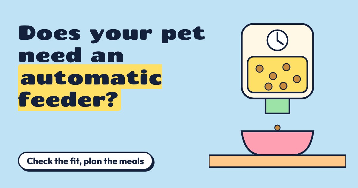 A drawn automatic pet feeder with a clock and kibble hopper dropping food into a pink bowl