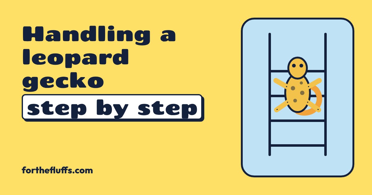 A cartoon leopard gecko climbing a four-rung ladder on a yellow background