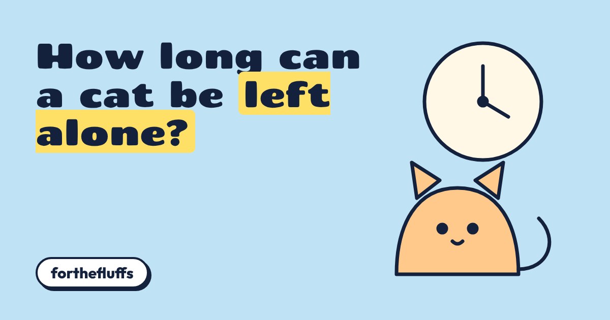 A cartoon orange cat sitting under a large wall clock on a pale blue background
