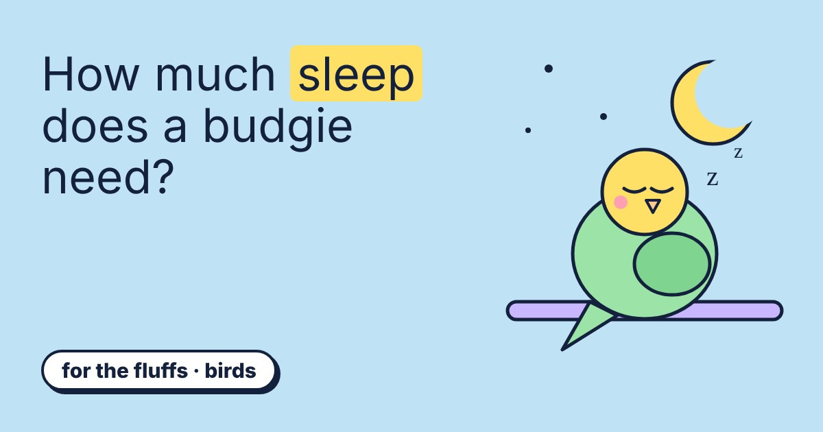 A sleeping green budgie on a perch under a crescent moon and stars