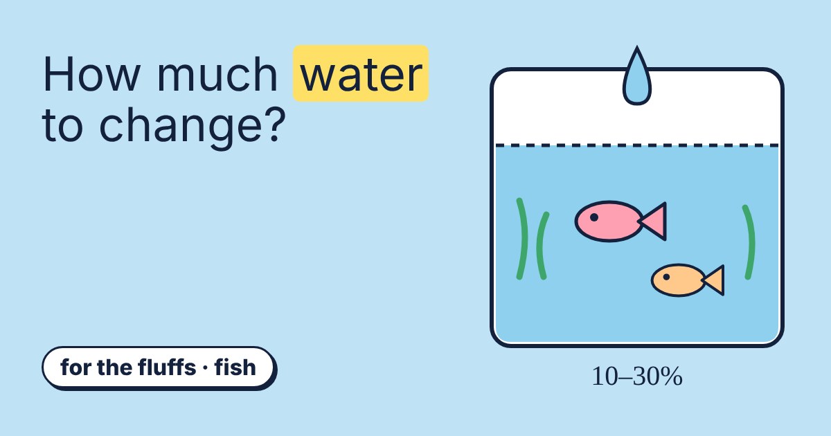 A cartoon fish tank with two fish, plants and a drop of fresh water falling in