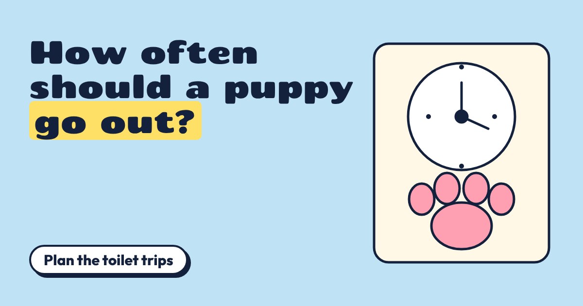 A clock face above a pink puppy paw print on a cream card, on a sky blue background