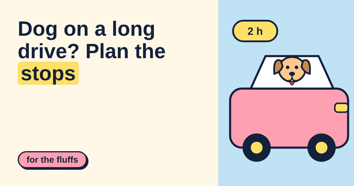 Cartoon pink car with a happy dog looking out of the window and a 2 h stop sign