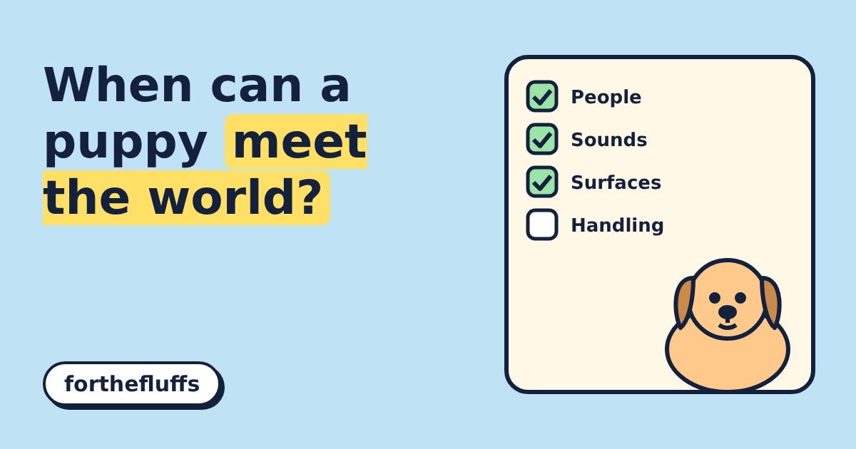A cartoon puppy beside a checklist with People, Sounds and Surfaces ticked
