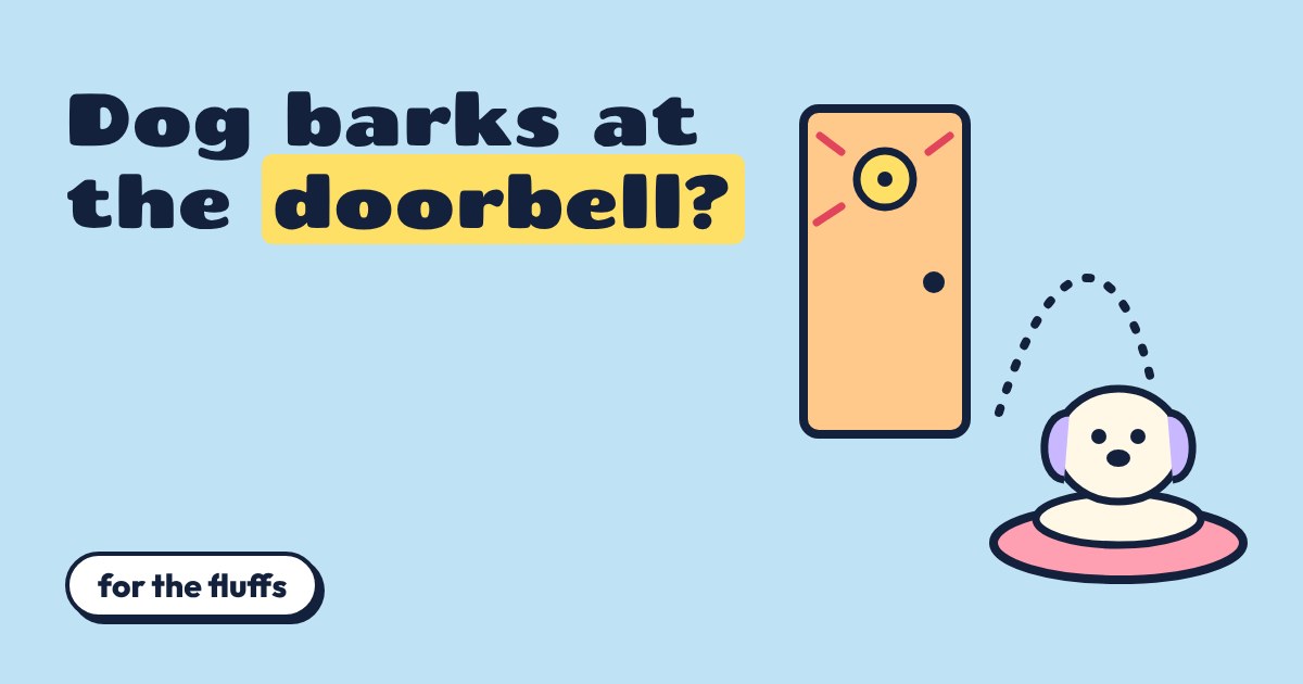 Cartoon dog sitting on a pink mat looking at a front door with red alarm marks, a dotted path between them